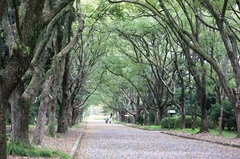 親子でお出かけ情報②